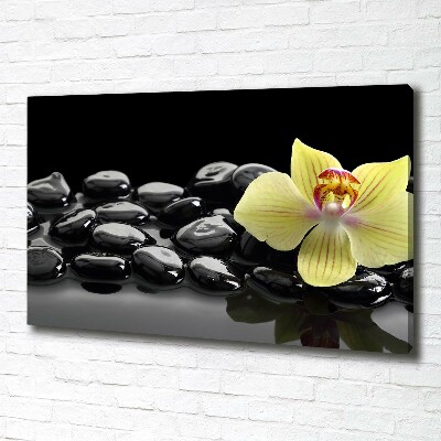 Foto obraz canvas Orchidea