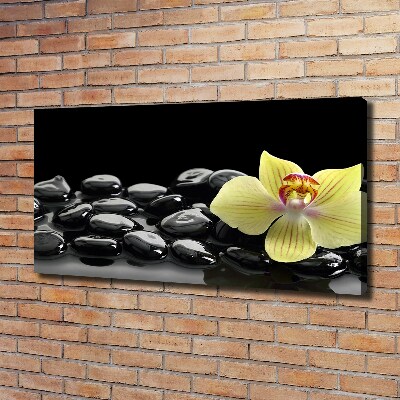 Foto obraz canvas Orchidea