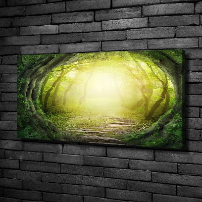 Foto obraz na plátne Tunel zo stromov