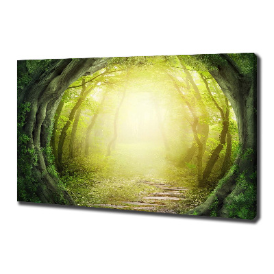 Foto obraz na plátne Tunel zo stromov
