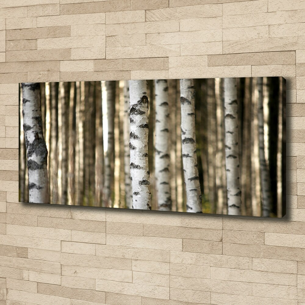 Moderný obraz canvas na ráme Brezy