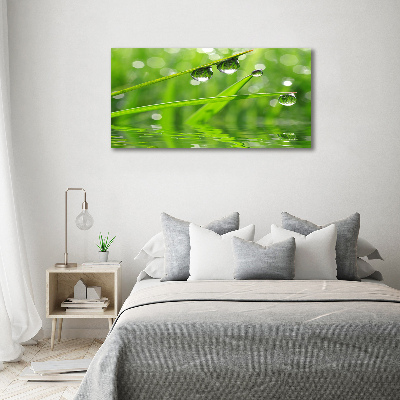 Moderný obraz canvas na ráme Kvapky na tráve