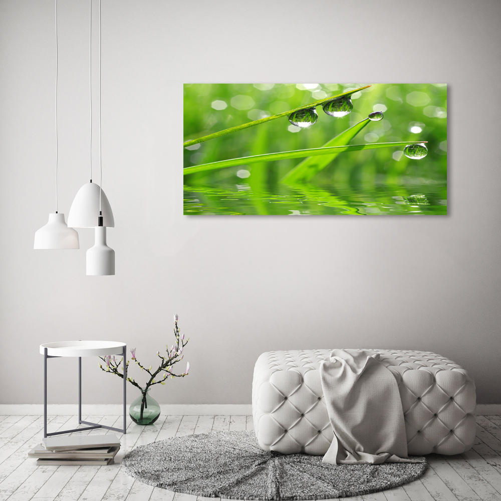 Moderný obraz canvas na ráme Kvapky na tráve