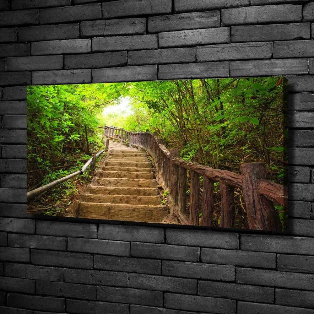 Foto obraz na plátne Schody v lese