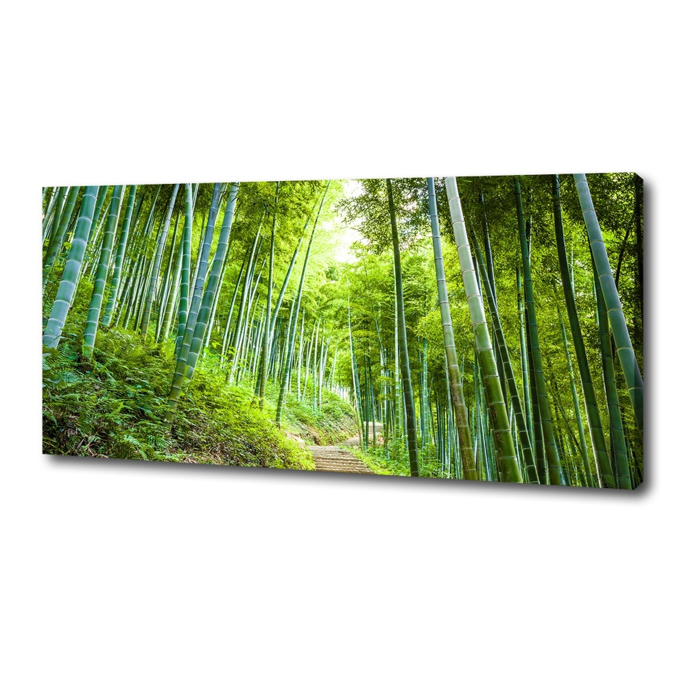 Foto obraz na plátne Bambusový les