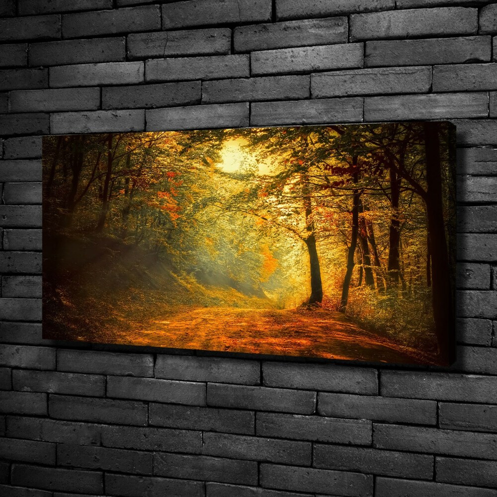 Foto obraz na plátne Jesenný les