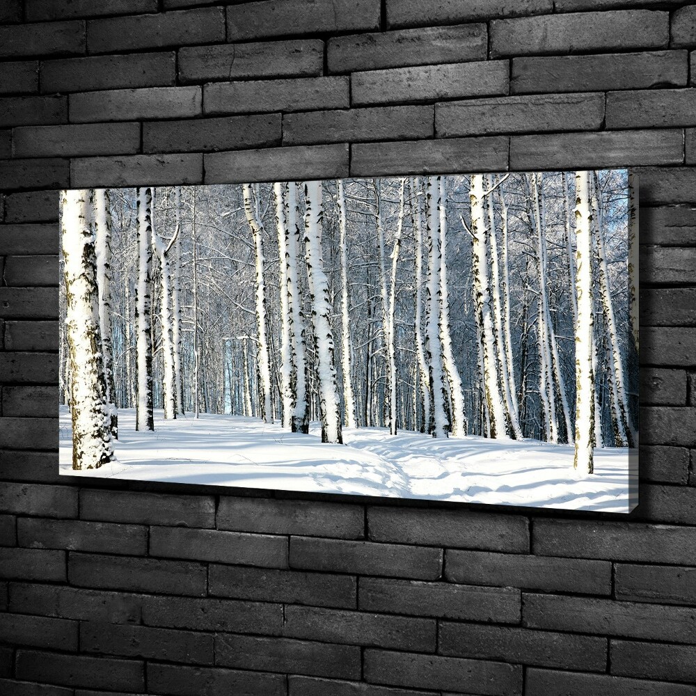 Foto obraz tlačený na plátne Les zima