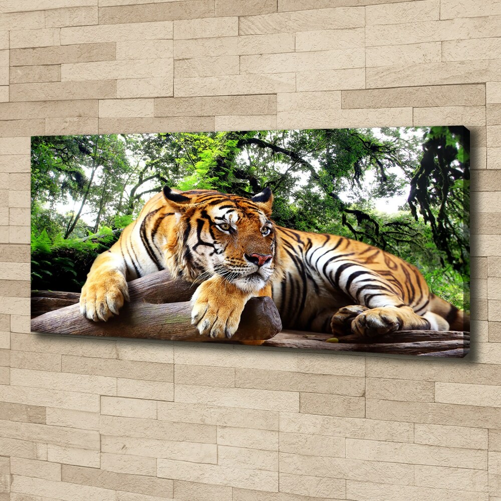 Foto obraz na plátne do obývačky Tiger na skale