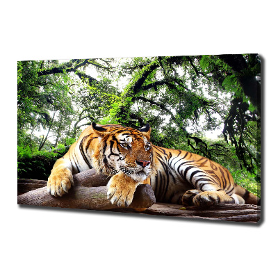 Foto obraz na plátne do obývačky Tiger na skale