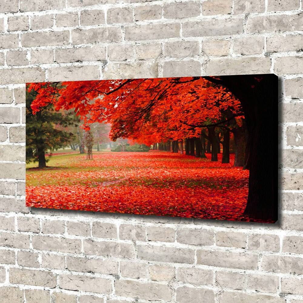 Foto obraz canvas Stromy jeseň
