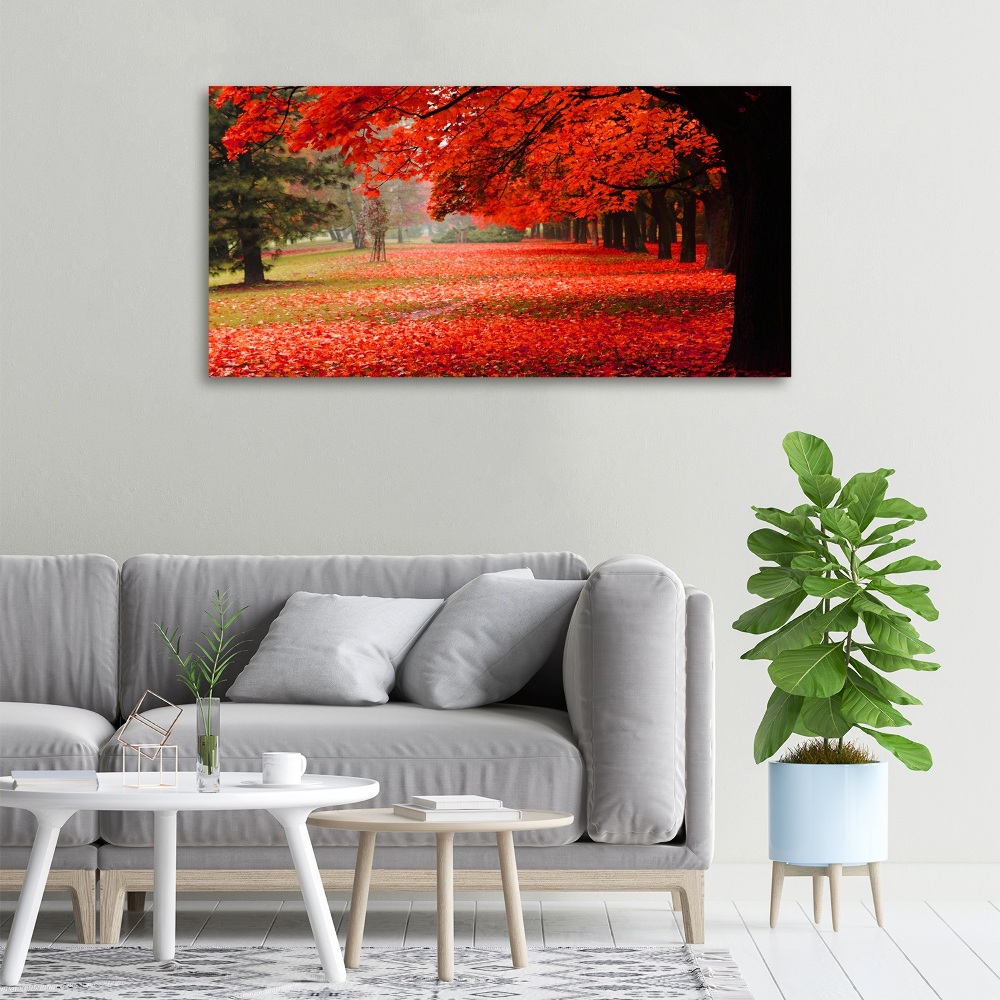 Foto obraz canvas Stromy jeseň