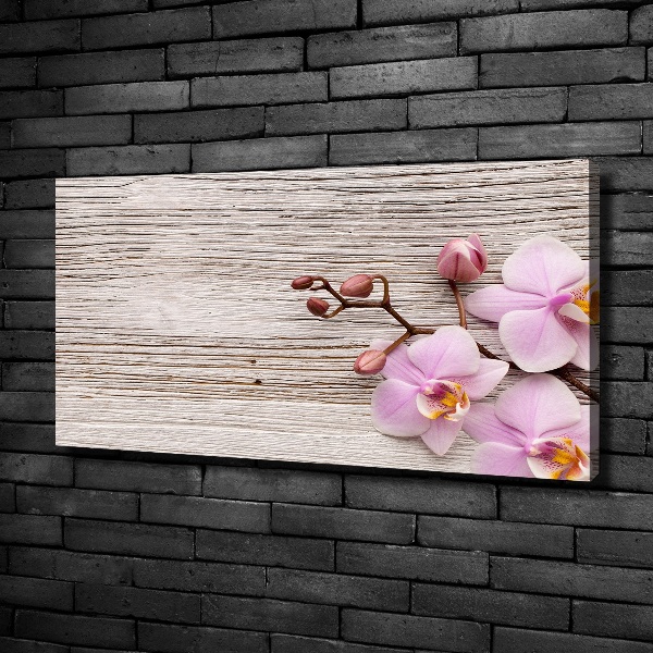 Moderný fotoobraz canvas na ráme Orchidea na strome