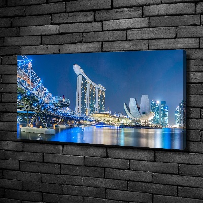 Moderný obraz canvas na ráme Singapur noc