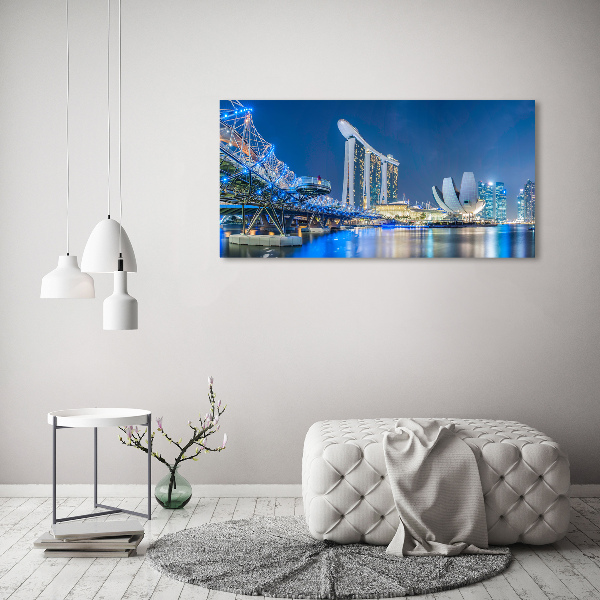 Moderný obraz canvas na ráme Singapur noc