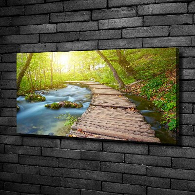 Foto obraz canvas Chodník v lese