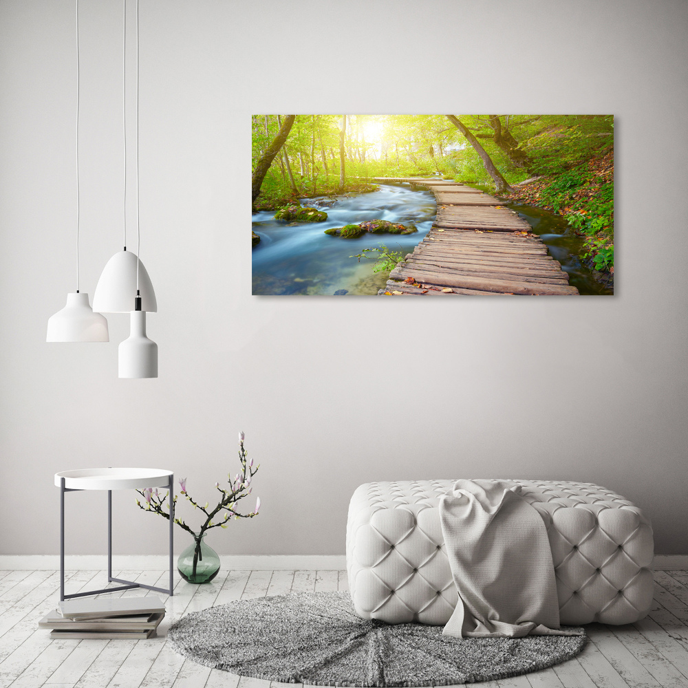 Foto obraz canvas Chodník v lese