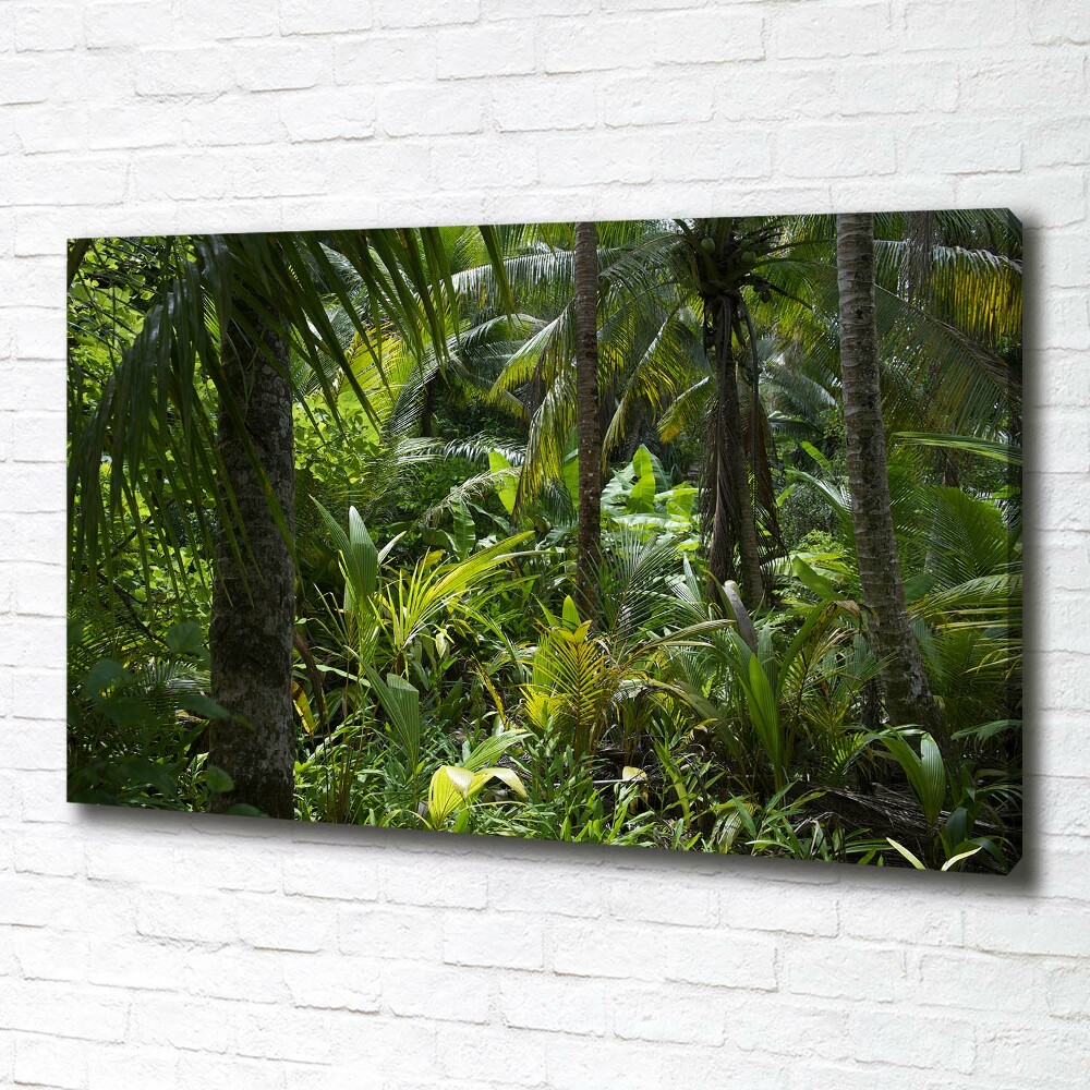 Foto obraz na plátne Tropický les