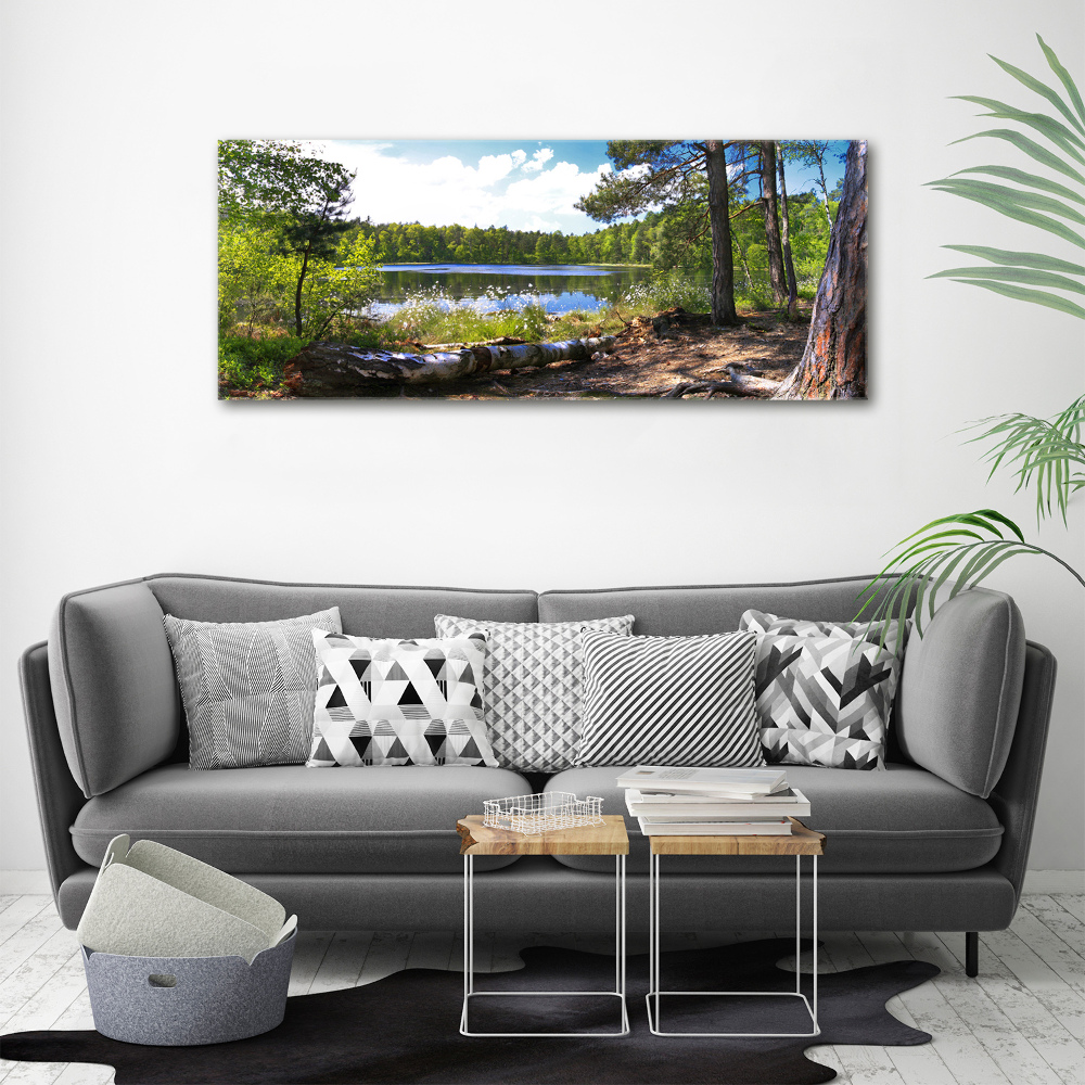 Foto obraz na plátne do obývačky Lesná panoráma