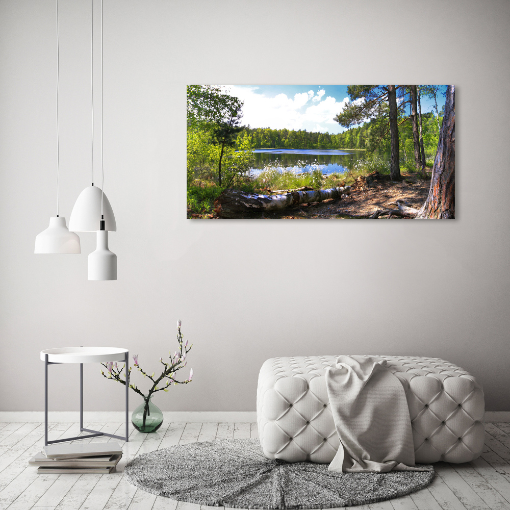 Foto obraz na plátne do obývačky Lesná panoráma