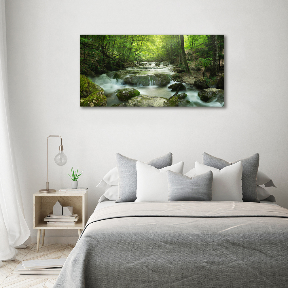 Foto obraz na plátne Vodopád v lese