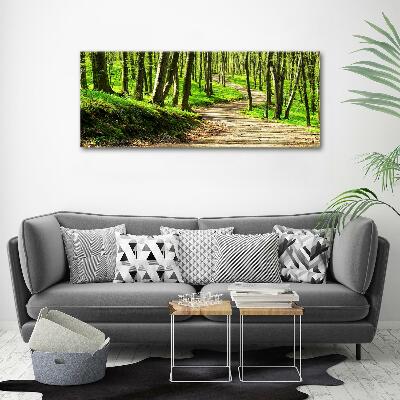 Foto obraz na plátne do obývačky Chodník v lese