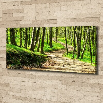 Foto obraz na plátne do obývačky Chodník v lese