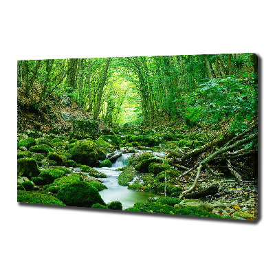 Foto obraz na plátne Prameň v lese
