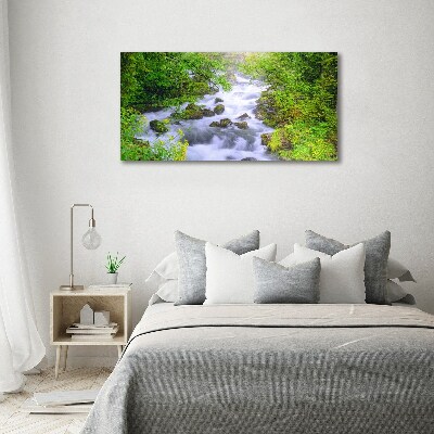 Foto obraz na plátne Horská rieka