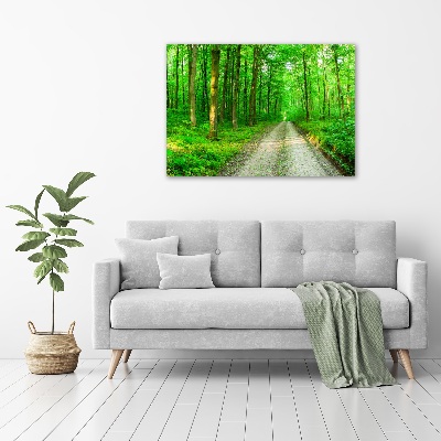 Foto obraz na plátne Stromy v lese