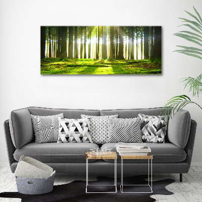 Foto obraz na plátne do obývačky Les slnko