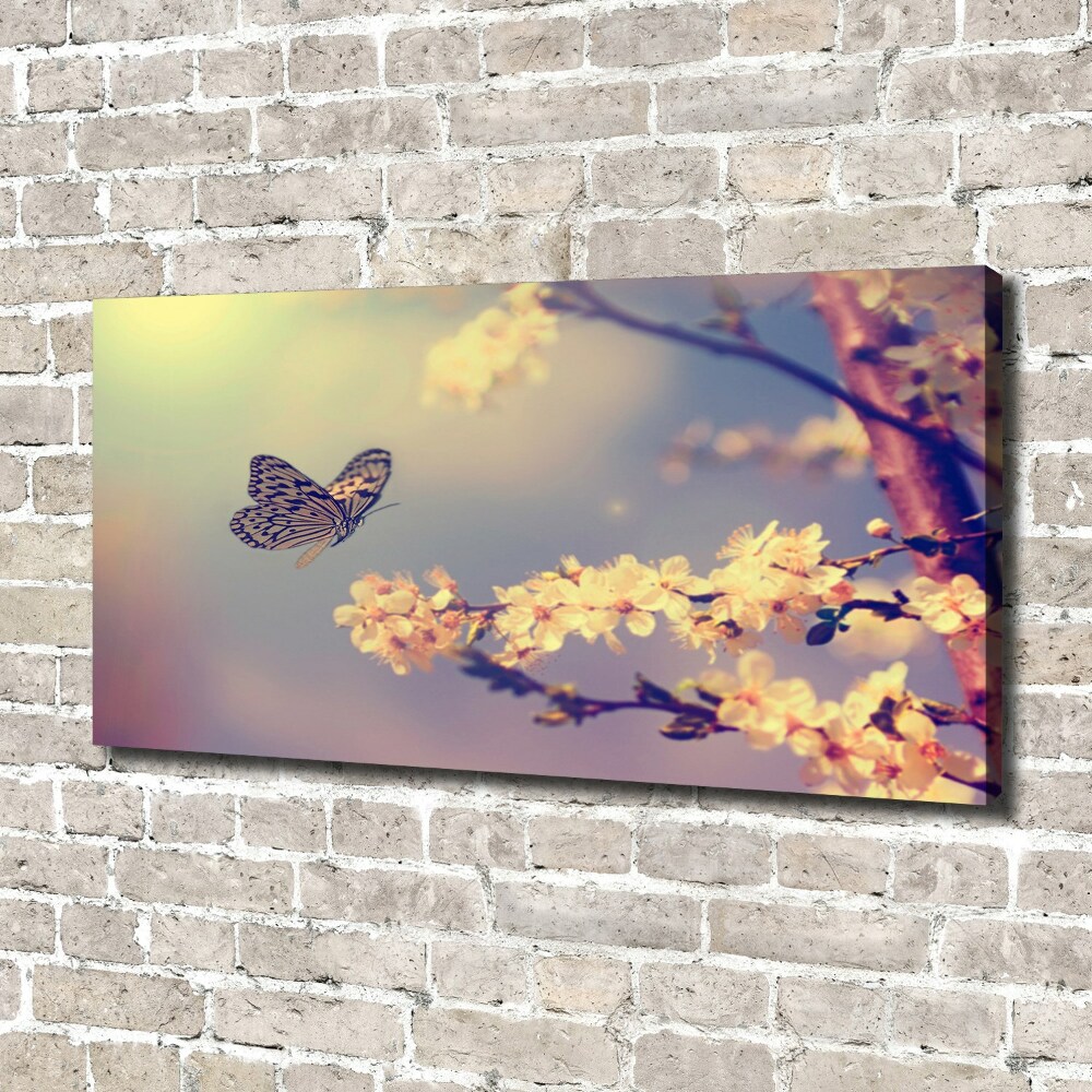 Moderný obraz canvas na ráme Kvet višne a motýľ