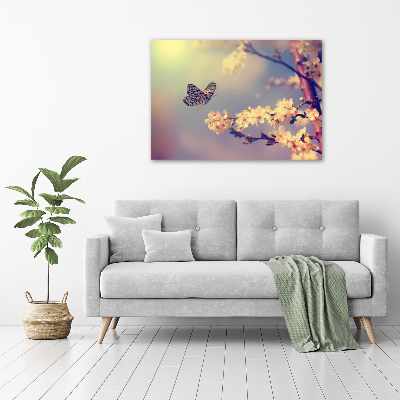 Moderný obraz canvas na ráme Kvet višne a motýľ