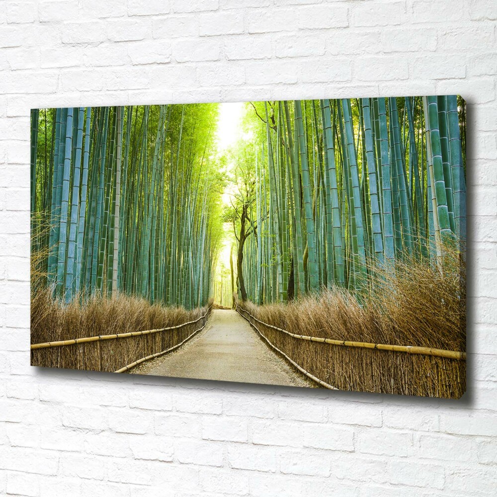 Foto obraz na plátne Bambusový les
