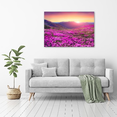 Foto obraz na plátne Ružové kopca