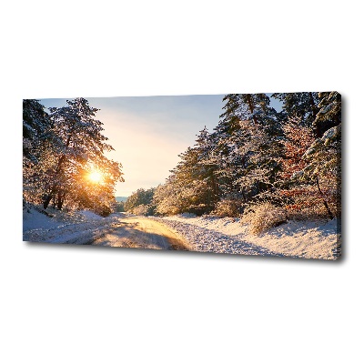 Foto obraz na plátne Cesta v lese zima