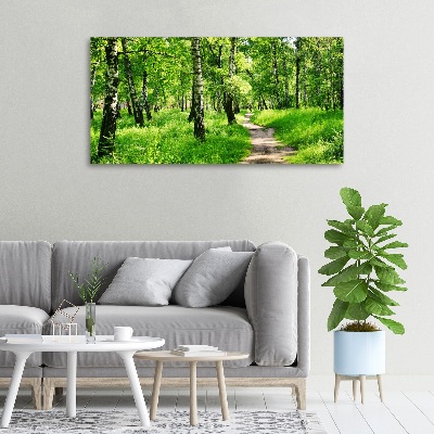 Foto obraz na plátne Brezový les