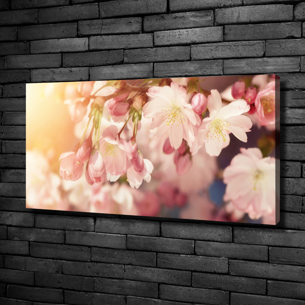 Foto obraz na plátne do obývačky Kvety višne