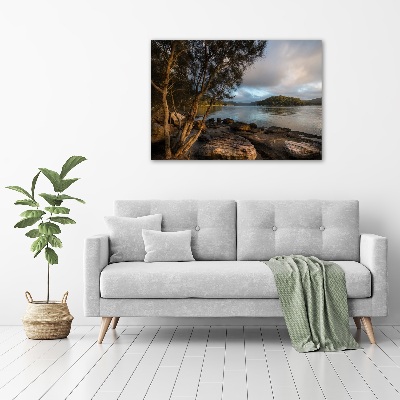 Foto obraz na plátne Strom nad riekou