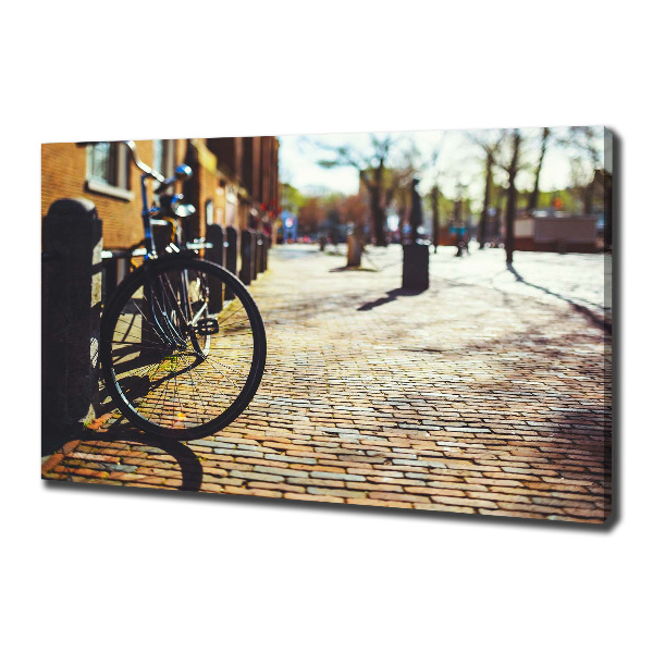 Foto-obraz canvas do obývačky Kolo Amsterdam