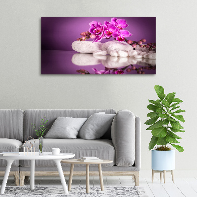 Foto obraz canvas Ružová orchidea