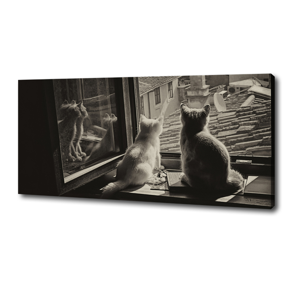Foto obraz na plátne Mačky pri okne