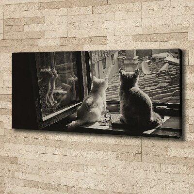 Foto obraz na plátne Mačky pri okne