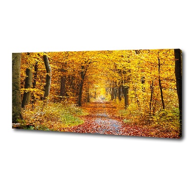 Foto obraz na plátne Jesenný les