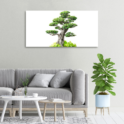 Foto obraz na plátne do obývačky Bonsai