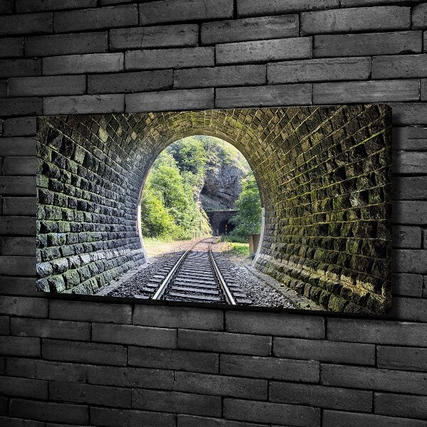 Foto obraz na plátne Železničný tunel