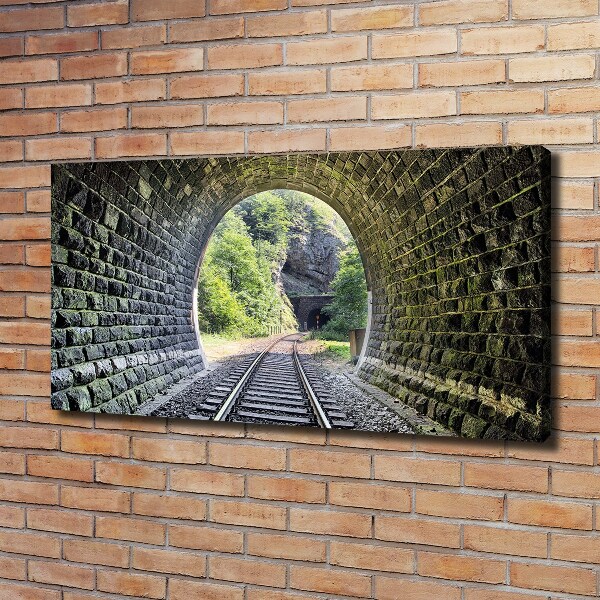 Foto obraz na plátne Železničný tunel