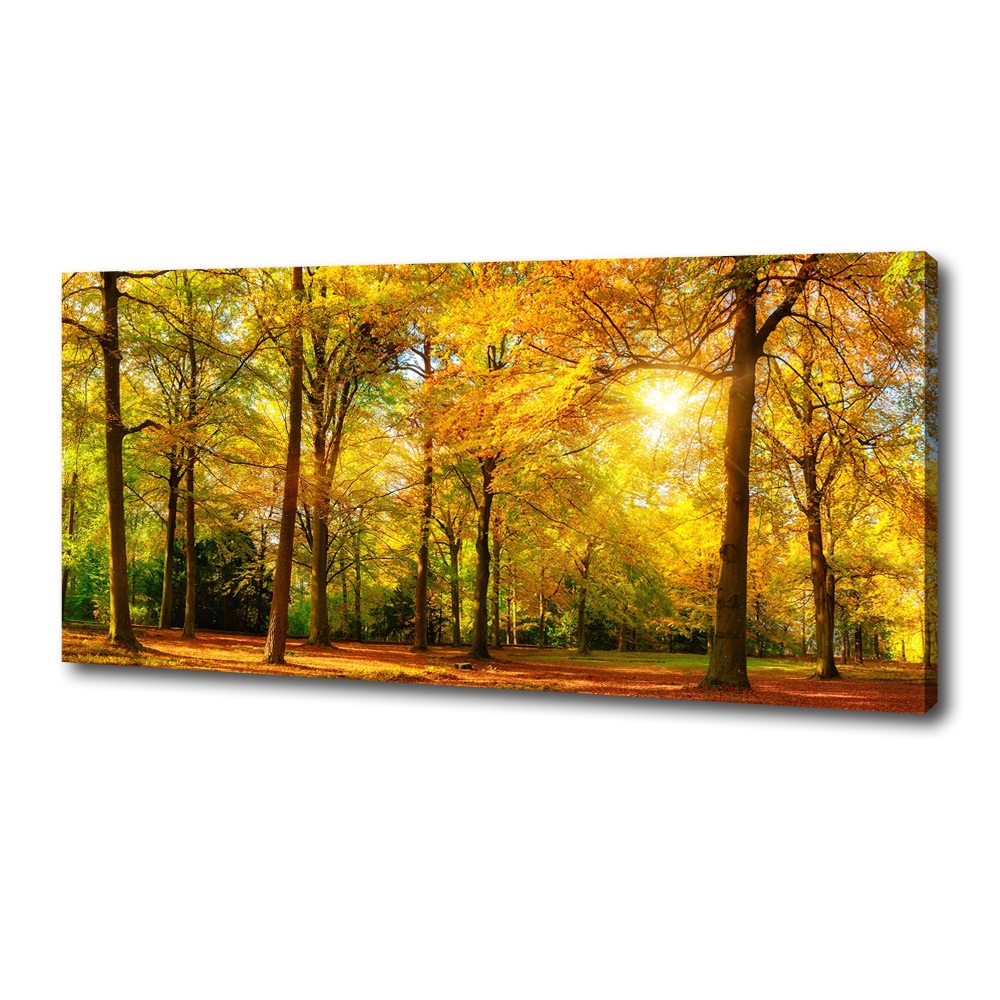 Foto obraz canvas Jesenný les