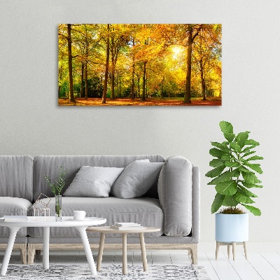 Foto obraz canvas Jesenný les