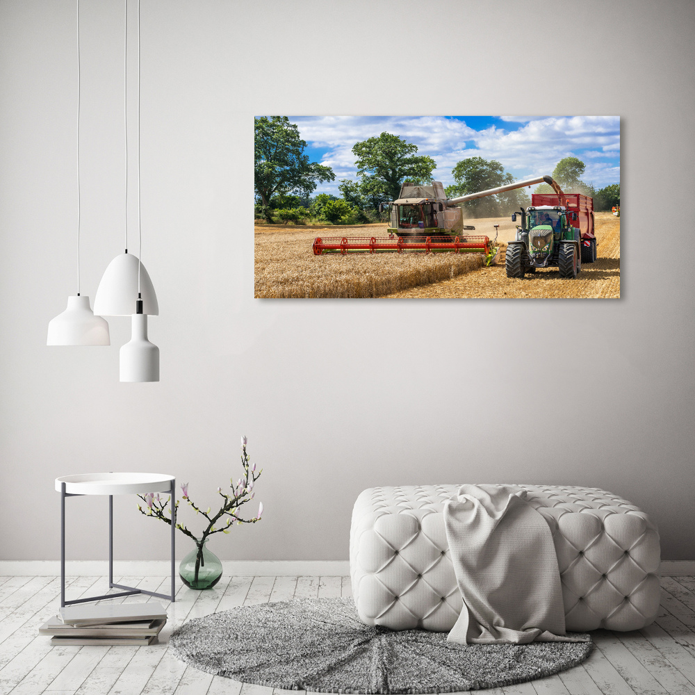 Foto obraz na plátne Kombajn a traktor