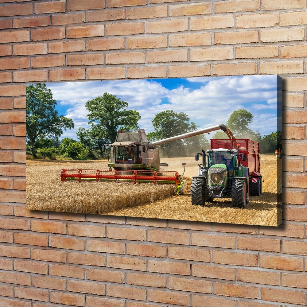Foto obraz na plátne Kombajn a traktor